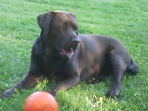 Britta och hennes boll