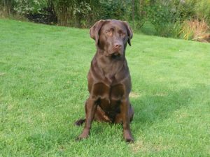 404633_10151017796191572_1601039175_n