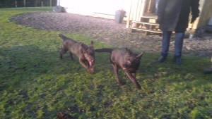 2013-01-05 13.26.29-2