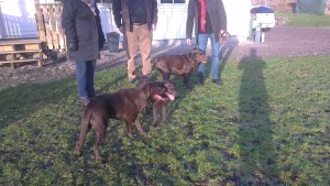 2013-01-05 13.26.48-2