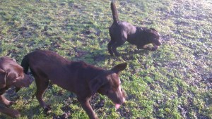 2013-01-05 13.28.14-5