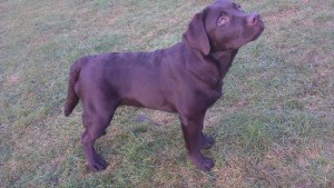 2013-01-06 14.18.22-2