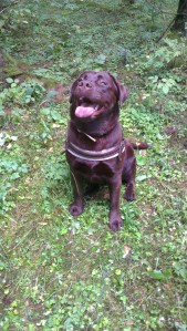 2013-08-31 14.57.32-2