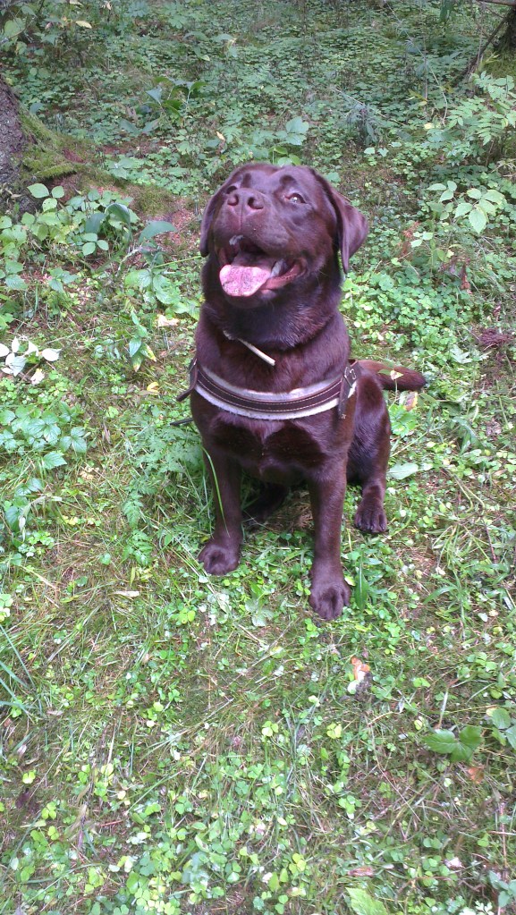 2013-08-31 14.57.33-3