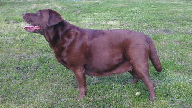 2013-09-28 15.36.32-2