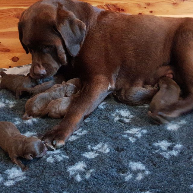 img_20180821_143929_072